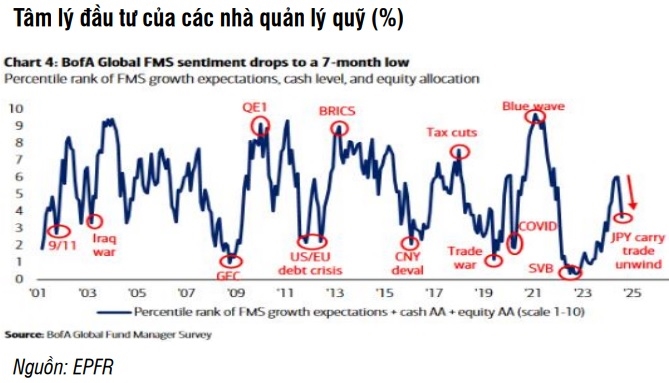 (Theo báo cáo của SSI Research). 