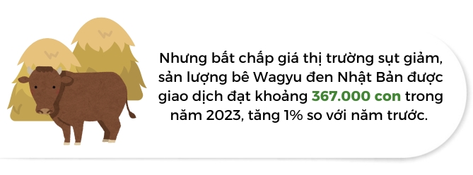 Nong dan Nhat Ban bo nuoi bo sua vi dan so giam