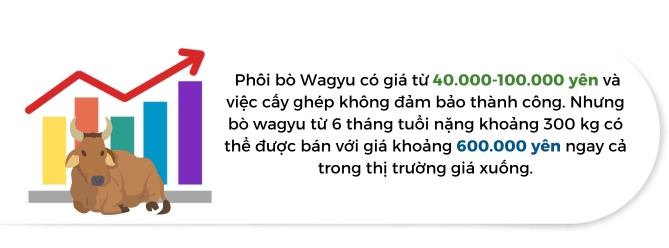 Nong dan Nhat Ban bo nuoi bo sua vi dan so giam