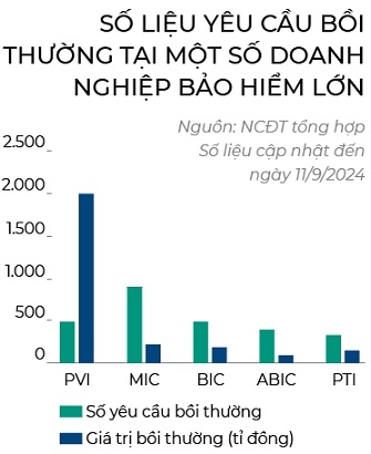 Nganh bao hiem tru vung sau bao