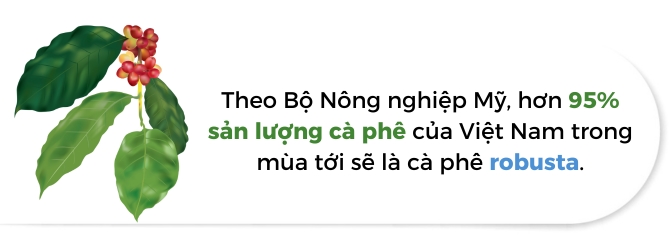 Chau A mua bao, gia ca phe the gioi nong 