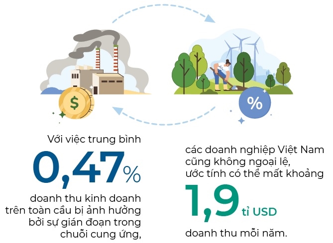 Xanh hoa chuoi cung ung bat dau tu dau?