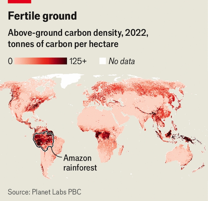 Brazil va tiem nang khong lo tu thi truong tin chi carbon