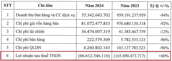 Kết quả kinh doanh quý II/2024 so với quý II/2023 của Nhựa Đông Á. 