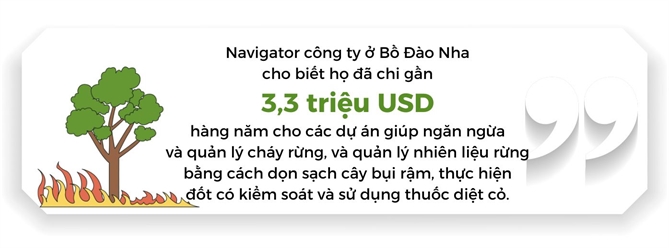 Nguon khan giay khien nhung dam chay tro nen toi te hon