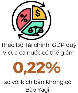 Bo Tai chinh de xuat giam 30% tien thue dat nam 2024