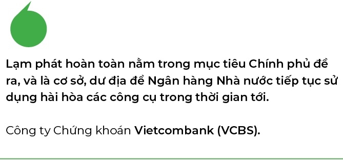 Dinh lam phat nam nay co the da cham moc trong quy II