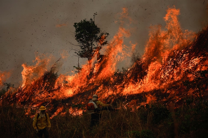 Các thành viên của đội cứu hỏa Viện Môi trường và Tài nguyên thiên nhiên tái tạo Brazil (IBAMA) đang dập tắt đám cháy bùng phát ở rừng mưa Amazon tại Apui, bang Amazonas, Brazil, ngày 8 tháng 8. REUTERS/Adriano Machado