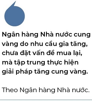 Thong doc Nguyen Thi Hong giai thich ly do ngan hang chi ban vang, khong mua vao