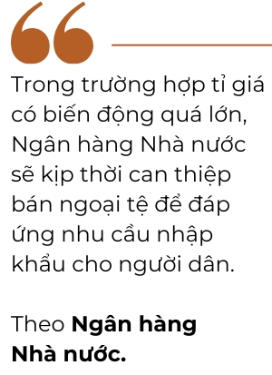 Neu ti gia bien dong qua lon, Ngan hang Nha nuoc se kip thoi can thiep