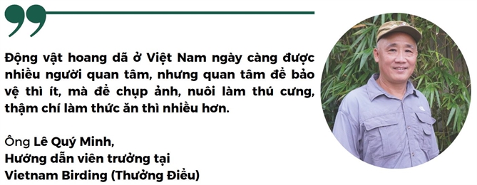 Vao rung thuong dieu