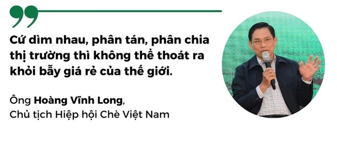 Tim danh xung cho tra Viet