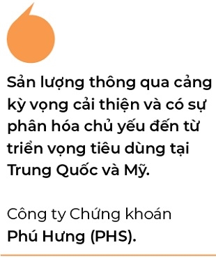 Nganh cang bien Viet Nam chiu tac dong gi duoi thoi ong Trump?