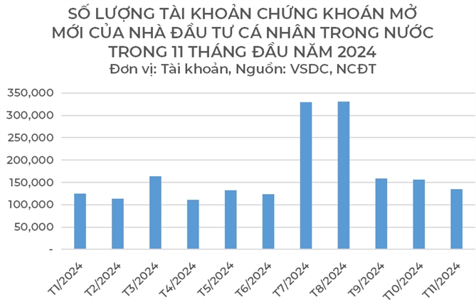 Nha dau tu ca nhan mo moi gan 1,88 trieu tai khoan trong 11 thang