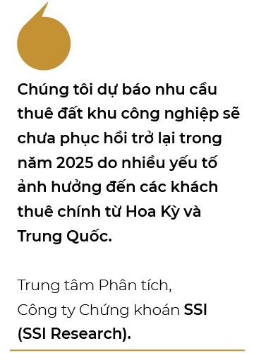 Thi truong thue dat khu cong nghiep 2025: Chua the phuc hoi?