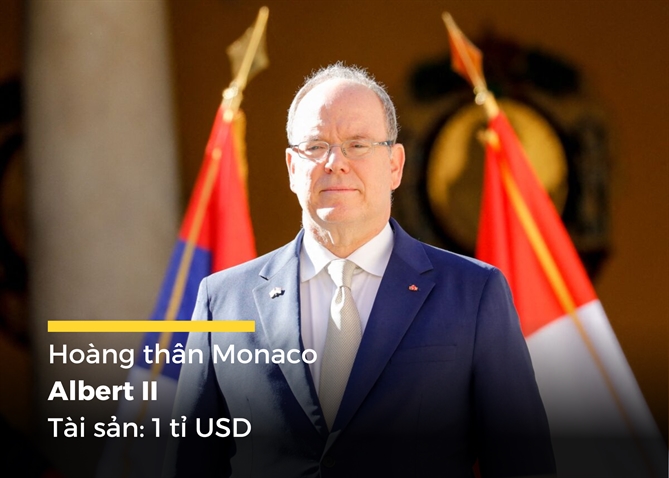 Albert II, Hoàng thân Monaco, có tài sản chủ yếu đến từ khối tài sản khổng lồ được tạo ra bởi công quốc Monaco, ngành du lịch, bất động sản và ngành công nghiệp cờ bạc. Sòng bạc nổi tiếng, khách sạn sang trọng và bất động sản cao cấp của công quốc đã đóng góp đáng kể vào khối tài sản của ông.