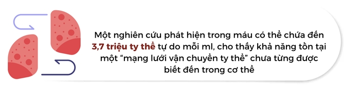 Cay ty the: Huong di moi cho y hoc tai tao