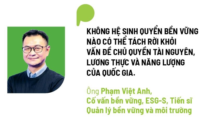 Chu quyen xanh