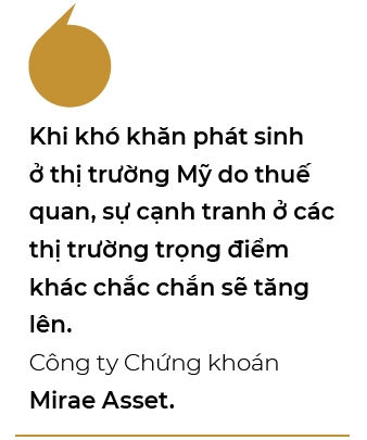 Co phieu det may dong loat tang tran