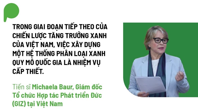 Von xanh san sang