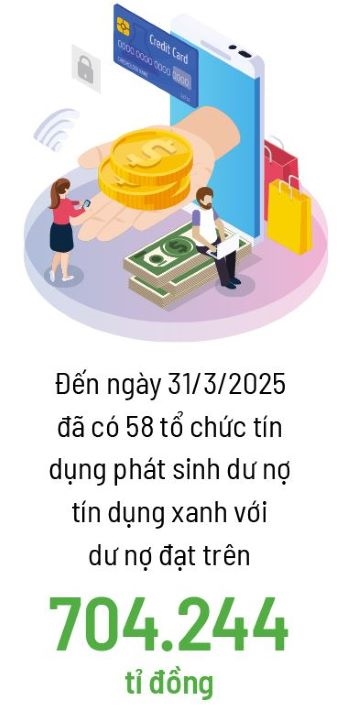 Von xanh san sang