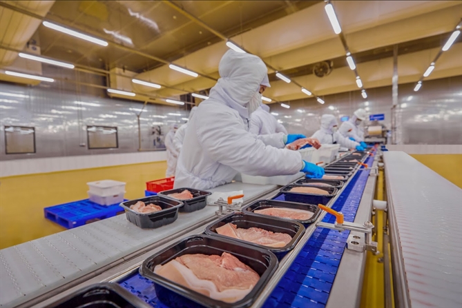 Dây chuyền đóng gói tự động thịt ủ mát MEATDeli 