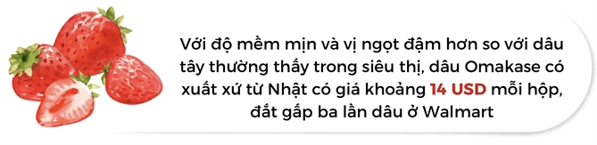 Dau tay gia 780 USD: Xa xi moi?