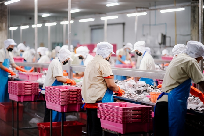Các doanh nghiệp xuất khẩu tại Việt Nam cần đáp ứng các tiêu chuẩn ESG khắt khe từ các thị trường nhập khẩu như châu Âu, Mỹ.
