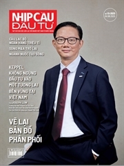 Pallet không carbon