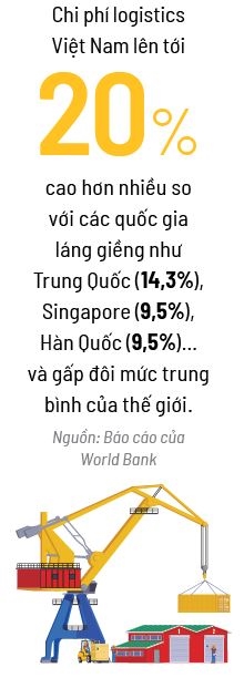 Ha tang nang tang truong