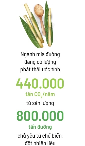 Mia tim duong Net Zero