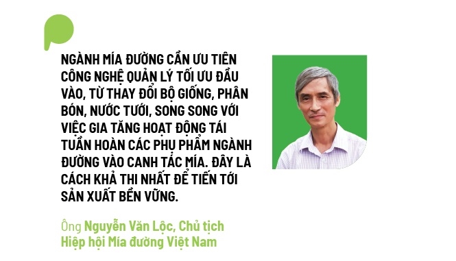 Mia tim duong Net Zero