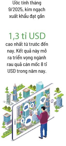 Rau qua Viet Nam huong toi thi truong ti USD
