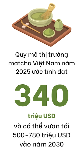 Matcha va bai toan ben vung sau con sot xanh