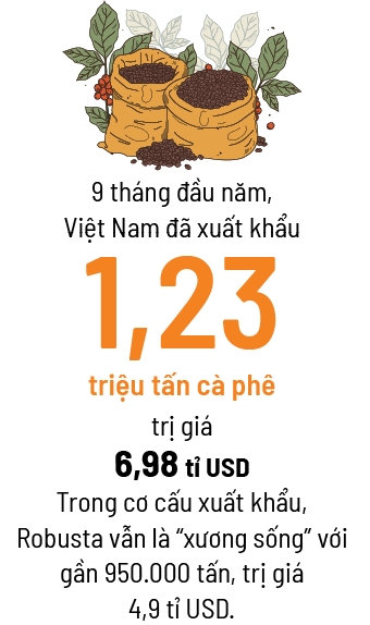 Ngã ba đường của Robusta