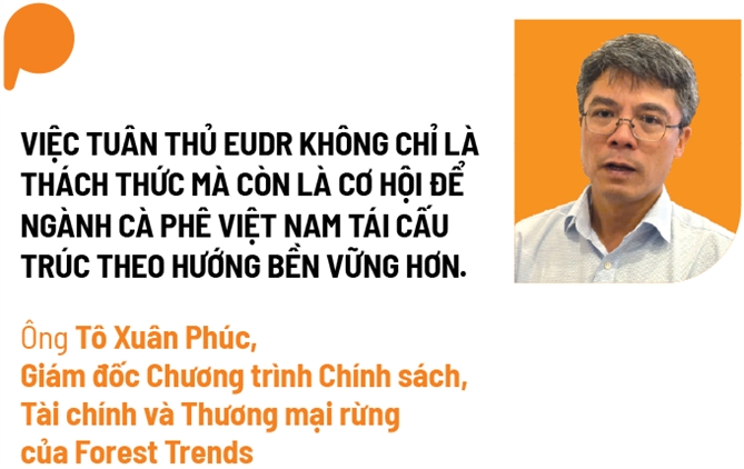 Ngã ba đường của Robusta