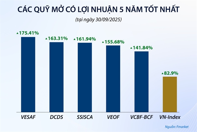 Buoc ngoat cua dong von va chuyen nghiep hoa nganh quy Viet Nam