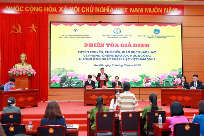 Quang cảnh phiên toàn giả định