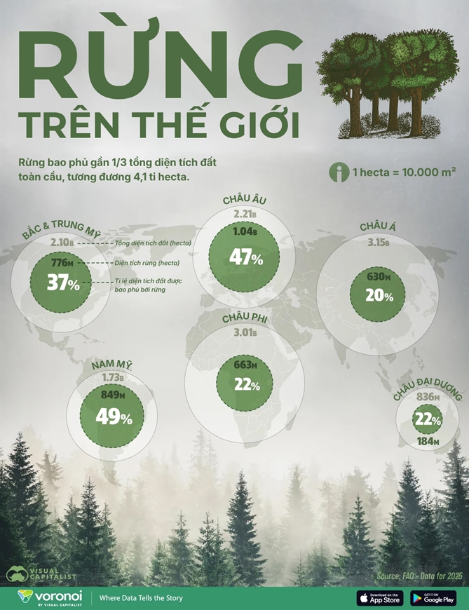 4,1 tỉ hecta rừng giữa thách thức biến đổi khí hậu