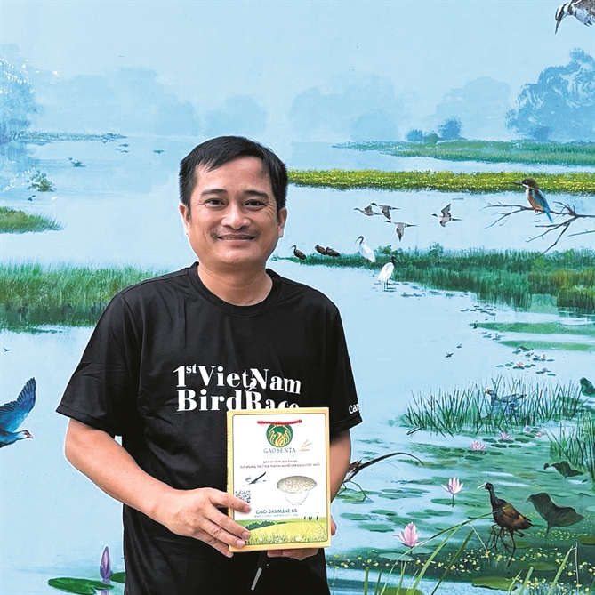 Nhung canh chim tu do