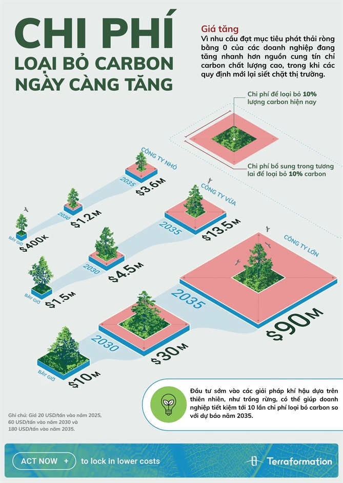 Chi phí loại bỏ carbon ngày càng tăng