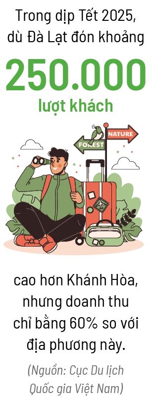 Da Lat chong den, chong di