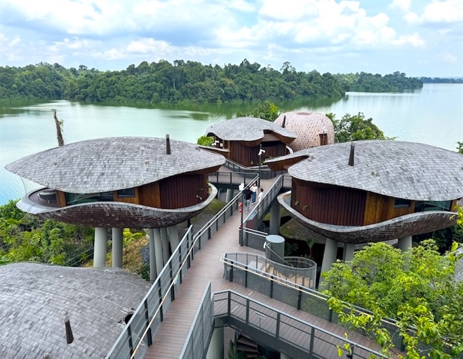 Vì sao Singapore là “thiên đường phục hồi năng lượng” cho doanh nghiệp? Ảnh: Sassymama