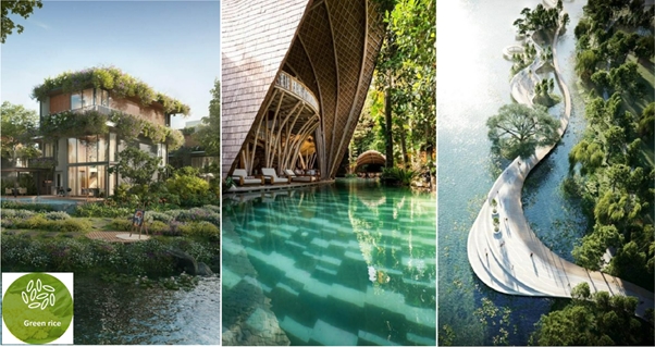 Ý tưởng phân khu “The Green Rice Zone”