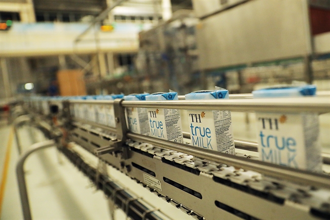 Cánh đồng hướng dương của TH true MILK: Mở đầu quy trình khép kín “từ đồng cỏ xanh đến ly sữa sạch” Nhà máy chế biến sữa tươi sạch và Cụm trang trại tập trung công nghệ cao khép kín lớn nhất thế giới của TH nằm không xa những cánh đồng nguyên liệu rộng lớn