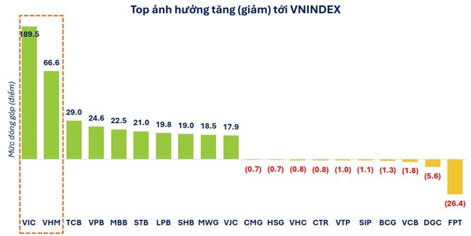 Thị trường phân hóa mạnh trong năm 2025. Nguồn: FiinGroup. 