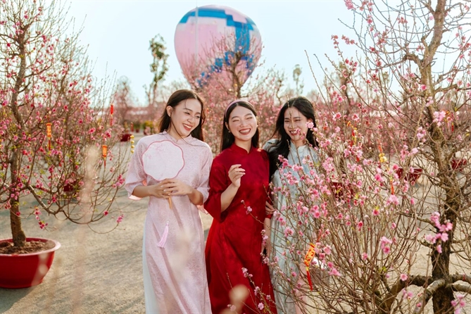 Du khách thích thú khi “lạc” giữa “rừng đào” miền Bắc giữa biển trời Nam Bộ