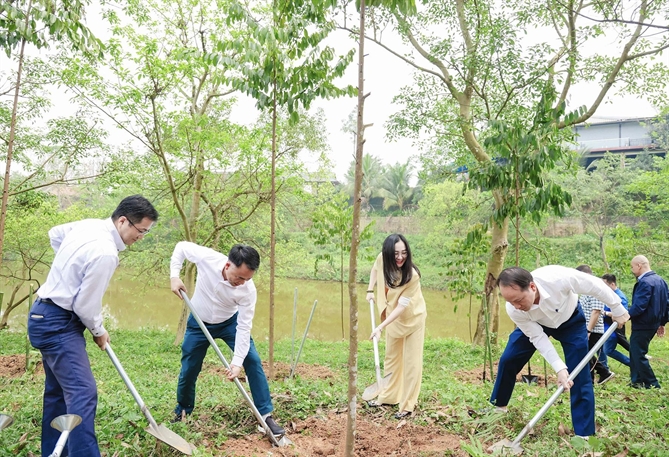 7 năm trồng cây xanh: Toyota cam kết vì một Việt Nam kiên cường và thịnh vượng