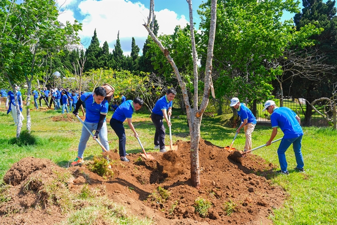 Hơn 500 BLĐ và nhân viên Imexpharm tham gia trồng mai anh đào tại sự kiện _Ngàn mai anh đào - Vì một Đà Lạt mãi hồng_ ngày 12_3_2026. Ảnh_ Imexpharm