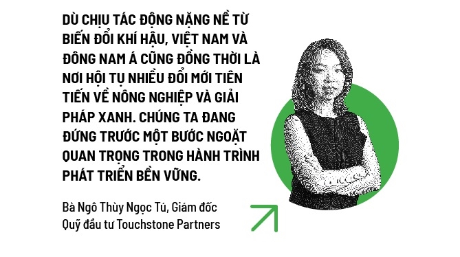 Thung lũng diệp lục